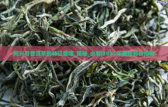 同兴号普洱茶的特征是啥