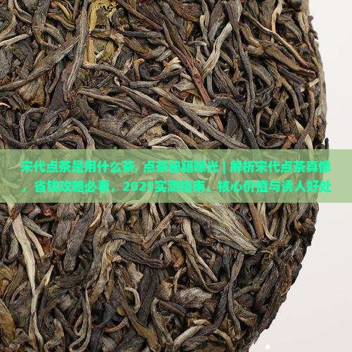 宋代点茶是用什么茶