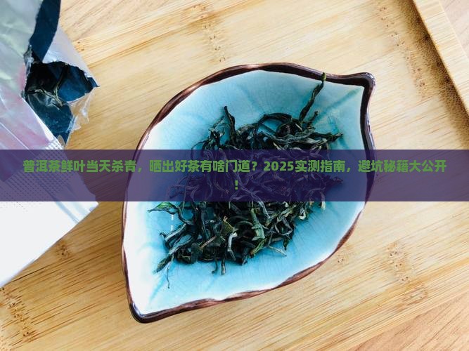 普洱茶鲜叶当天杀青怎么晒