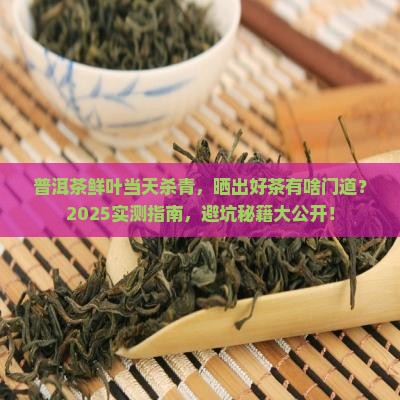 普洱茶鲜叶当天杀青怎么晒