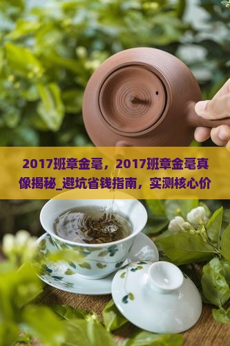 2017班章金毫