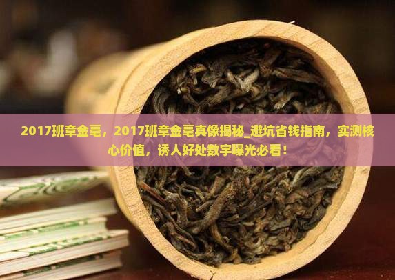 2017班章金毫