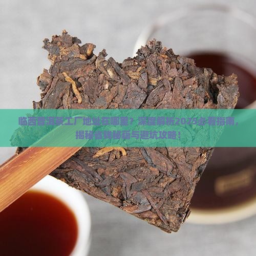 临西普洱茶工厂地址