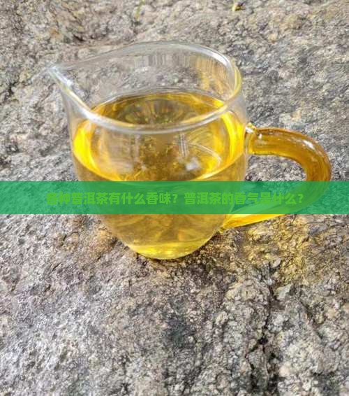 各种普洱茶有什么香味