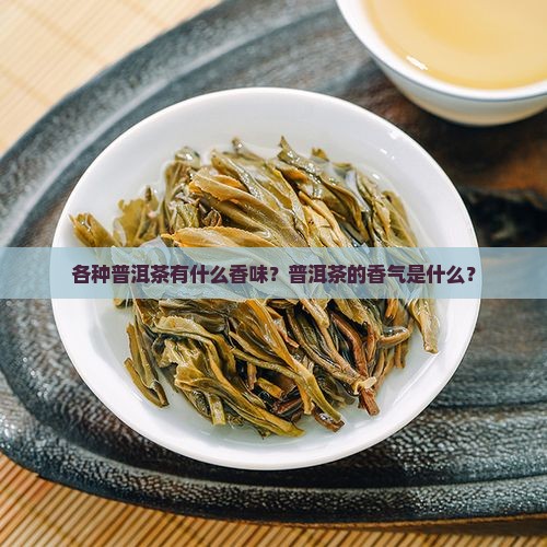各种普洱茶有什么香味