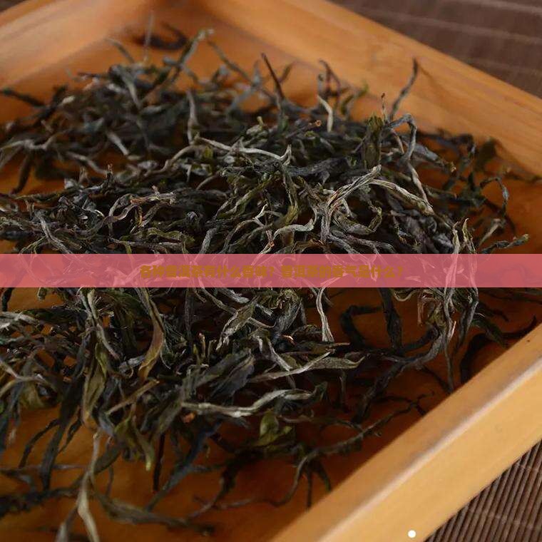 各种普洱茶有什么香味
