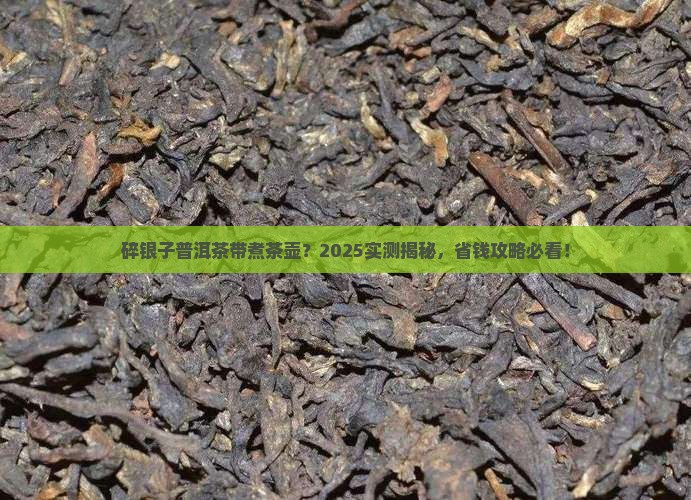 碎银子普洱茶带煮茶壶