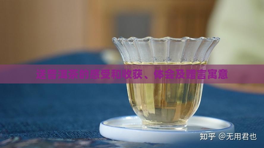 送普洱茶的感受