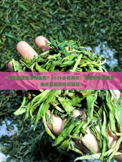 为啥普洱茶没有金花
