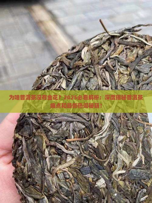 为啥普洱茶没有金花