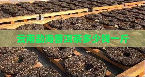 云南勐海普洱茶多少钱一斤