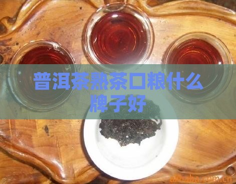 普洱茶熟茶口粮什么牌子好