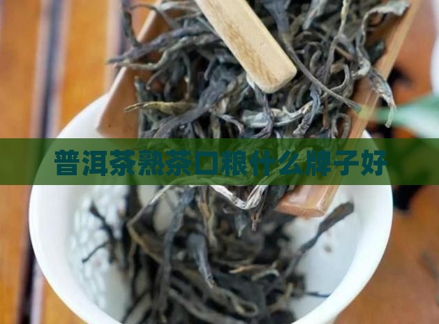 普洱茶熟茶口粮什么牌子好