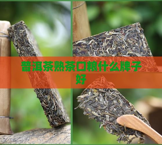 普洱茶熟茶口粮什么牌子好