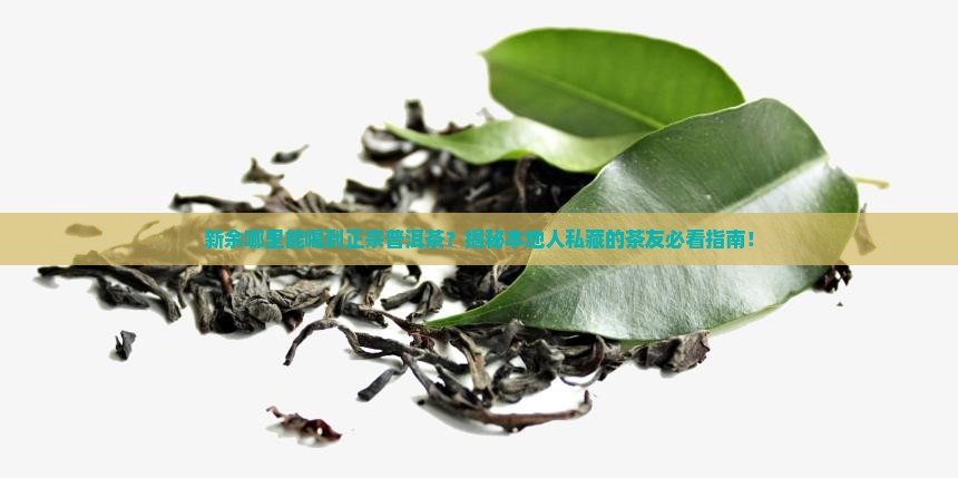 新余普洱茶种类