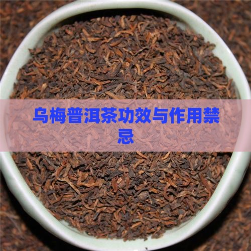 乌梅普洱茶功效与作用禁忌