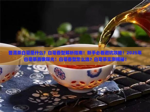 普洱茶白毫是指哪一种香型