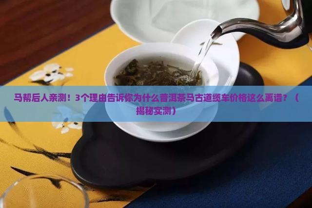 普洱茶马古道缆车价格
