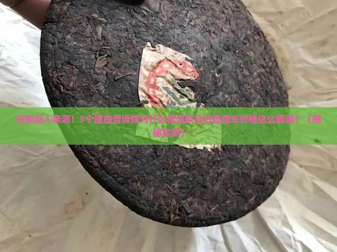 普洱茶马古道缆车价格