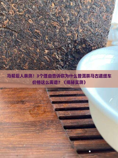 普洱茶马古道缆车价格