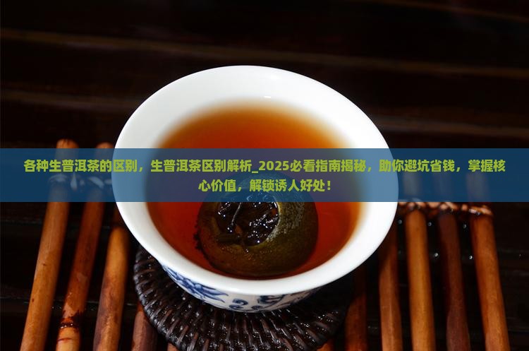 各种生普洱茶的区别