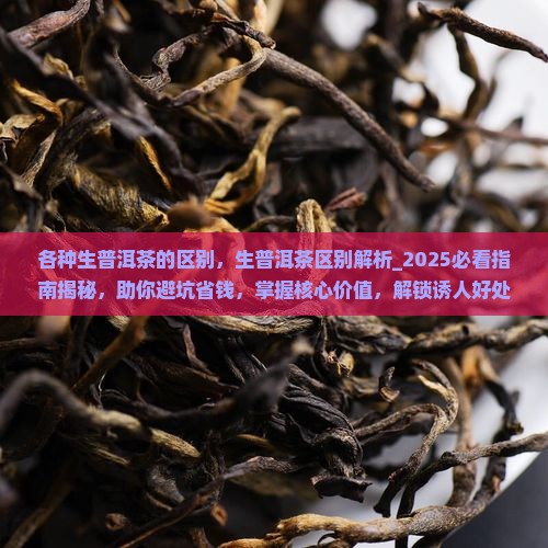 各种生普洱茶的区别
