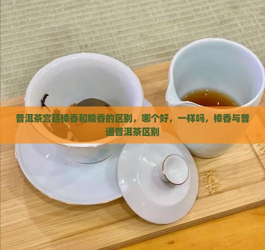 普洱茶宫廷樟香和糯香