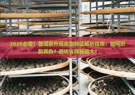 普洱茶的外观类型特征是什么