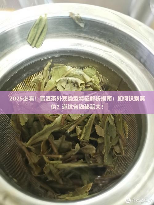 普洱茶的外观类型特征是什么