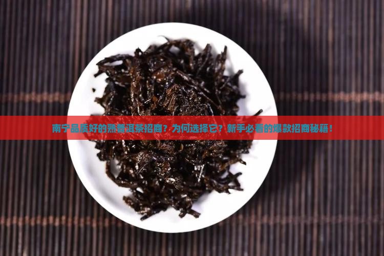 南宁品质好的熟普洱茶招商