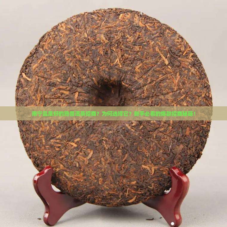 南宁品质好的熟普洱茶招商