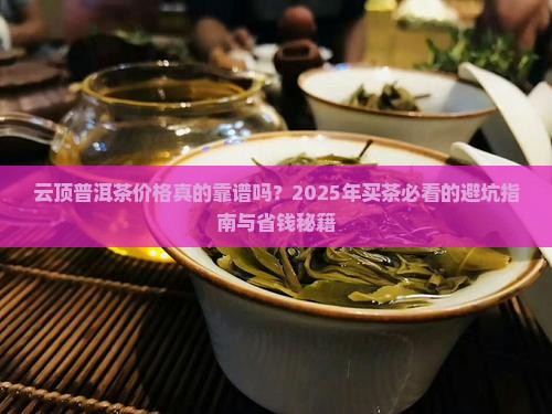 云顶普洱茶价格