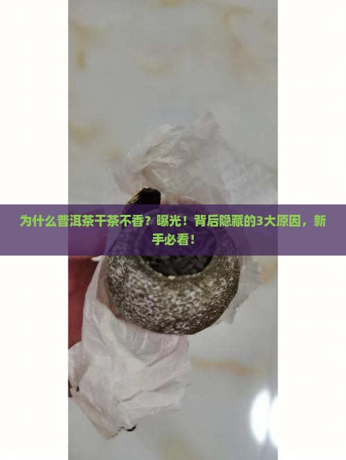 为什么普洱茶干茶不香
