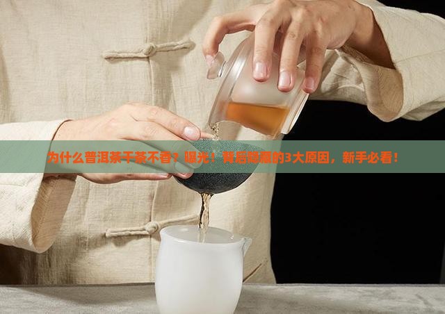 为什么普洱茶干茶不香