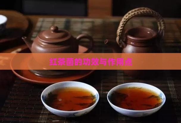 红茶菌的功效与作用点