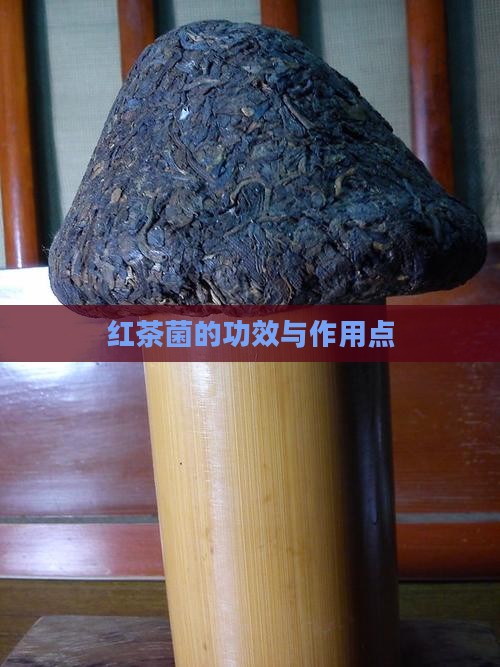 红茶菌的功效与作用点