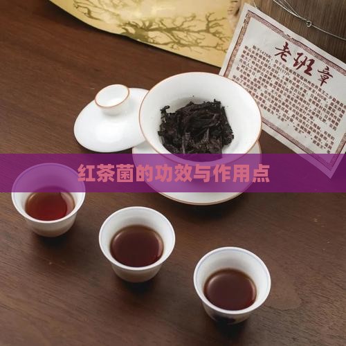 红茶菌的功效与作用点