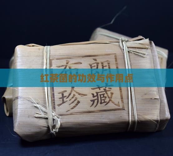红茶菌的功效与作用点