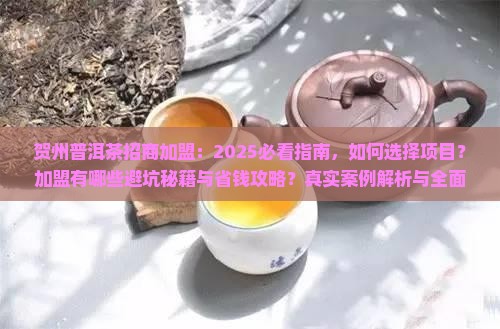 贺州普洱茶招商加盟