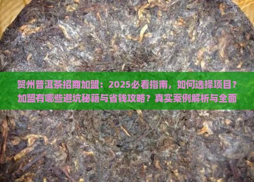 贺州普洱茶招商加盟
