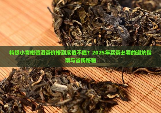 特级小青柑普洱茶价格