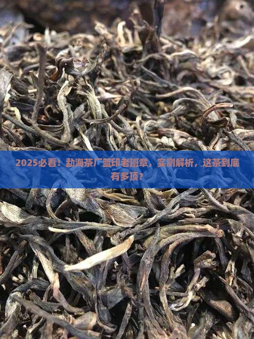 勐海茶厂出品篮印老班章