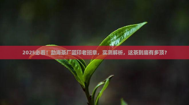 勐海茶厂出品篮印老班章