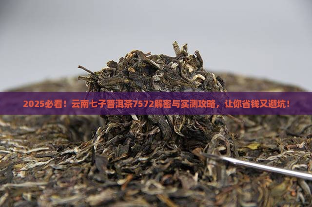 云南七子普洱茶7572
