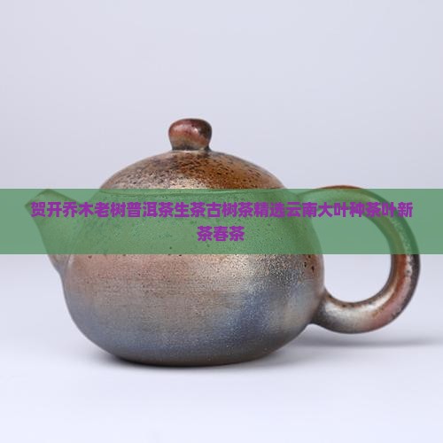 贺开乔木老树普洱茶生茶