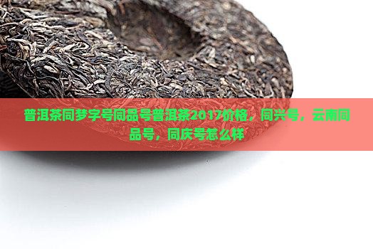 普洱茶同梦字号