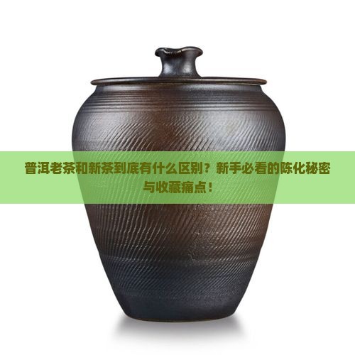 普洱老茶和新茶的区别