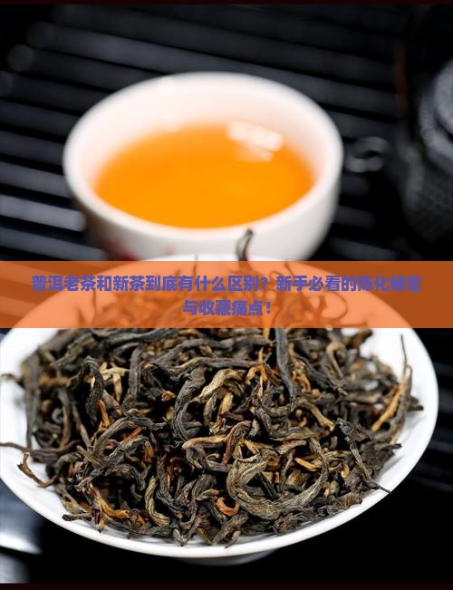 普洱老茶和新茶的区别