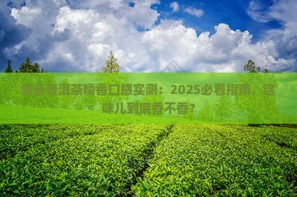 景谷普洱茶的口感糯香