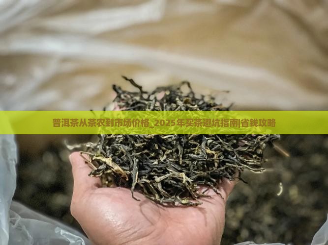 普洱茶从茶农到市场价格
